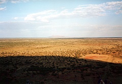 2000 - Australie 177G